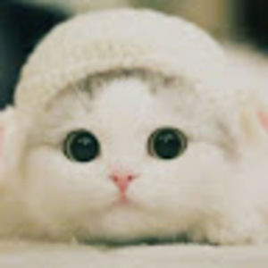 Meet your Posher, Isabella